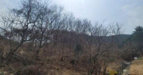 경상남도 통영시 광도면 안정리 OOOOOO 임야 경매 물건 이미지