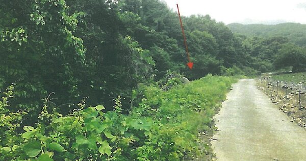 충청북도 제천시 덕산면 도기리 OOO 전 경매 물건 이미지