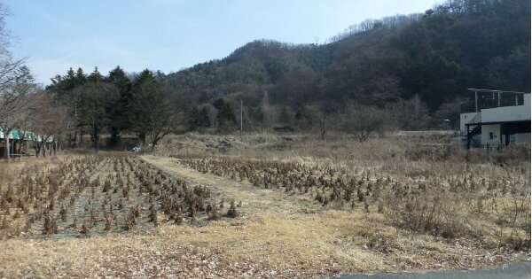 경기도 가평군 청평면 상천리 OOOOO O OOOO 근린시설 경매 물건 이미지