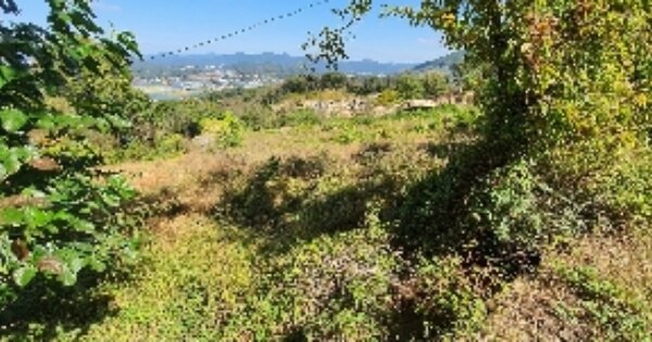 충청북도 옥천군 옥천읍 삼청리 OOOOO 목장용지 경매 물건 이미지