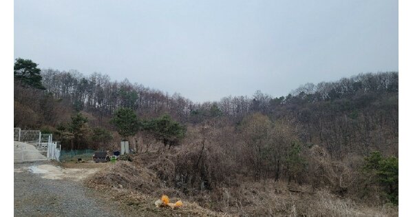 경기도 양평군 개군면 공세리 OOO 임야 경매 물건 이미지