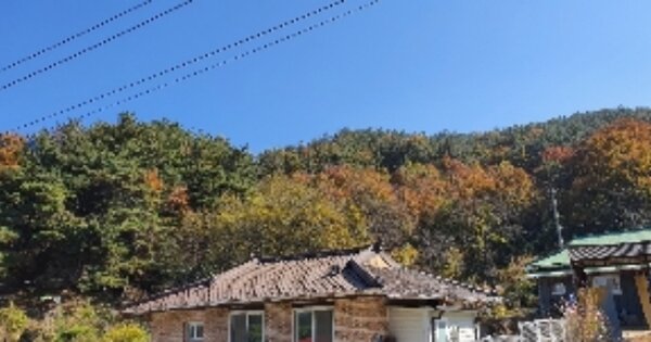 충청북도 옥천군 옥천읍 구일리 OOOOO 임야 경매 물건 이미지
