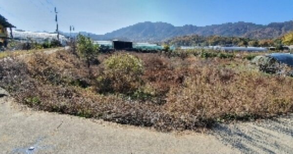 충청북도 옥천군 옥천읍 삼청리 OO 답 경매 물건 이미지