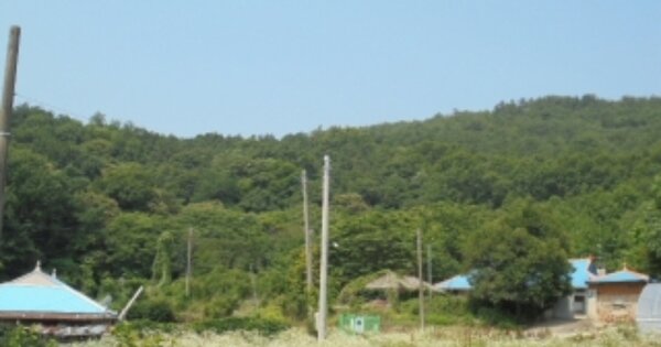 충청남도 논산시 노성면 가곡리 OOOOOO 임야 경매 물건 이미지