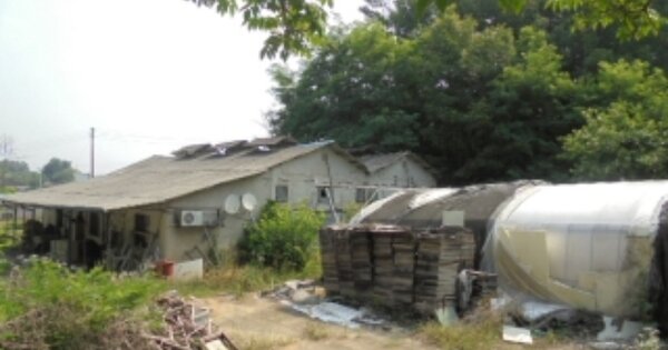 충남 부여군 초촌면 연화리 OOOOO 단독주택 경매 물건 이미지