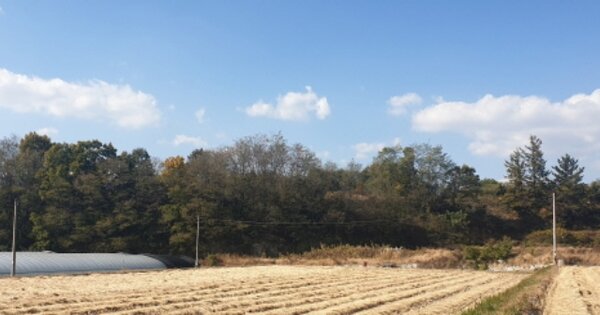 경상남도 거창군 거창읍 양평리 OOOOO 임야 경매 물건 이미지