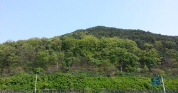 대구광역시 달성군 현풍읍 성하리 OOO 임야 경매 물건 이미지