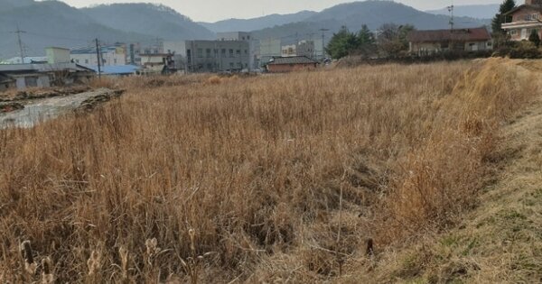 충청북도 진천군 문백면 옥성리 OOOOO O OOO 답 경매 물건 이미지