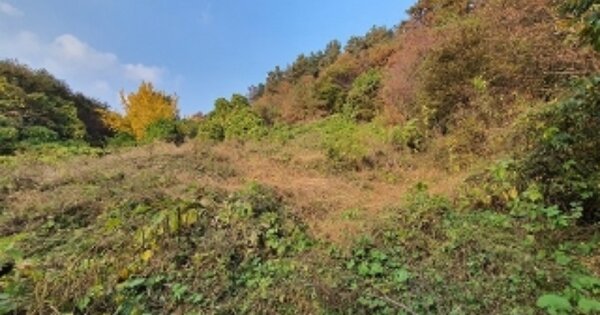 충청남도 공주시 신풍면 화흥리 OOOOO 전 경매 물건 이미지