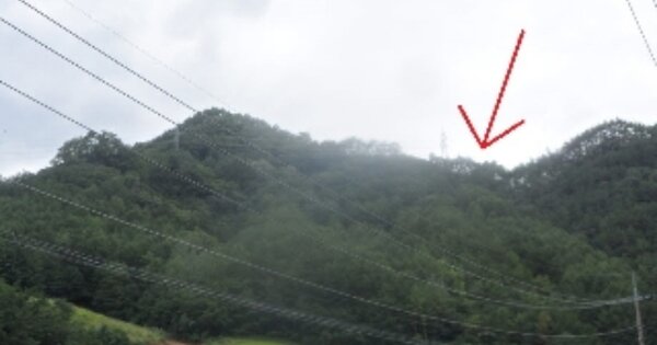강원도 정선군 임계면 덕암리 OOOO 임야 경매 물건 이미지
