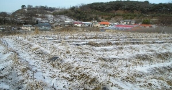 충청남도 청양군 목면 지곡리 OOOOO O OOO 전 경매 물건 이미지