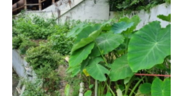 서울특별시 광진구 광장동 OOOOO 전 경매 물건 이미지