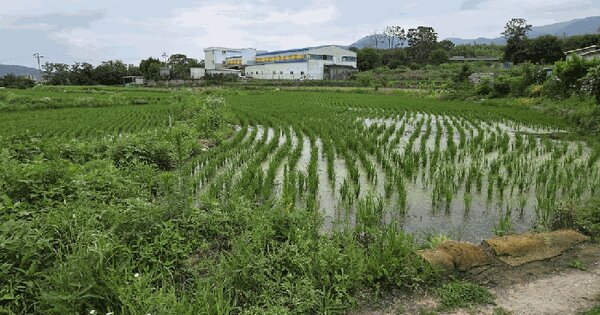 경상북도 경주시 외동읍 모화리 144  미지정 경매 물건 이미지
