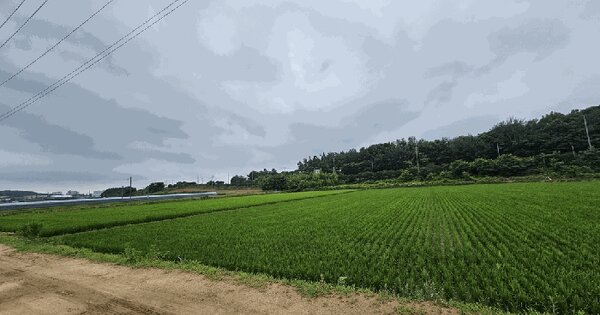 전라남도 영광군 영광읍 단주리 641-5  미지정 경매 물건 이미지