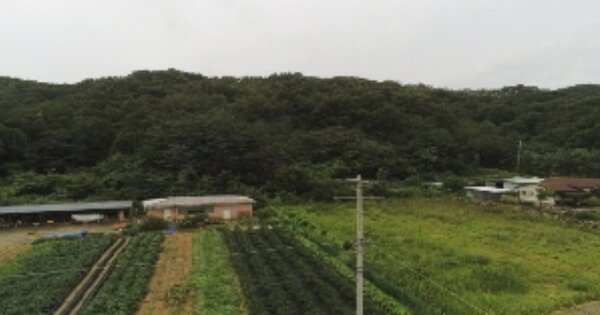 경상북도 김천시 농소면 월곡리 OOO 임야 경매 물건 이미지