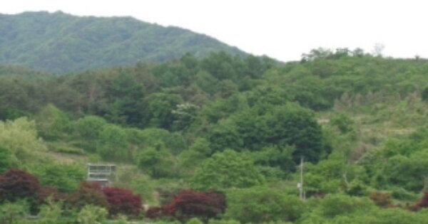 경상남도 산청군 금서면 지막리 OOO 전 경매 물건 이미지
