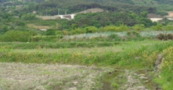 경상남도 산청군 금서면 지막리 OOOOO 답 경매 물건 이미지