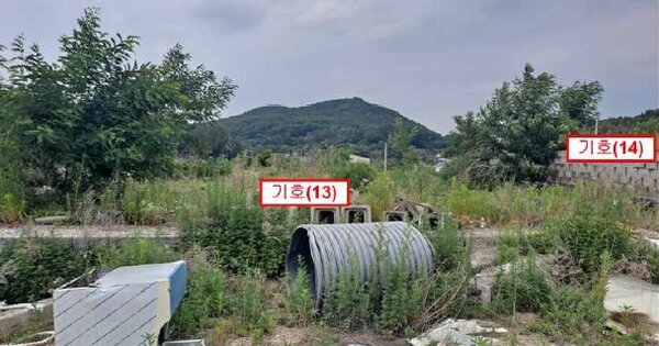 경기도 여주시 점동면 흔암리 OOOOO O OOOO 임야 경매 물건 이미지