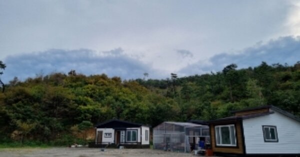 경상북도 경주시 감포읍 오류리 OOOOOO 임야 경매 물건 이미지