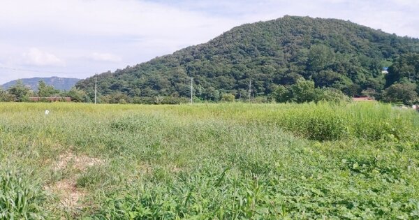 충청남도 예산군 덕산면 대치리 OOOO O OOO 전 경매 물건 이미지