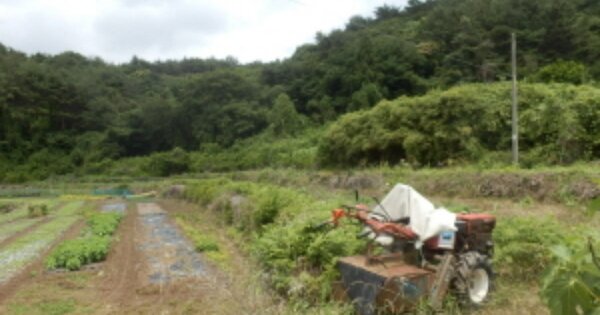 경상남도 남해군 창선면 율도리 OOOOO 답 경매 물건 이미지