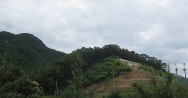 충청북도 괴산군 감물면 구월리 OOO 임야 경매 물건 이미지