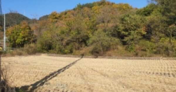 경상북도 성주군 금수면 어은리 OOO 전 경매 물건 이미지