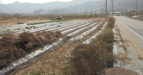 충청북도 충주시 용관동 OOOOO 전 경매 물건 이미지
