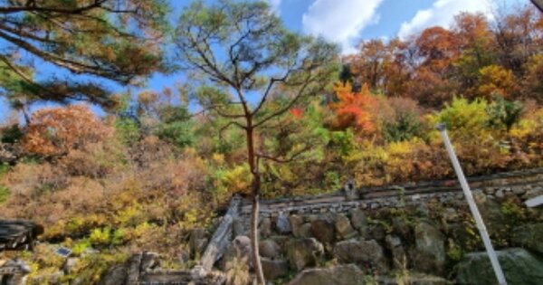 경기도 남양주시 수동면 수산리 OOOOOO 임야 경매 물건 이미지