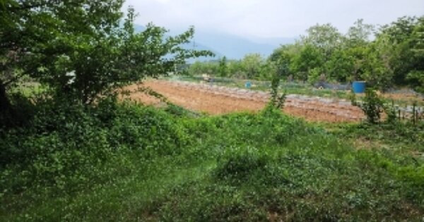 울산광역시 울주군 삼남읍 방기리 OOOOO O OOO 전 경매 물건 이미지