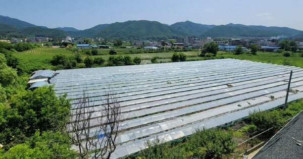 경기도 파주시 적성면 구읍리 OOO 전 경매 물건 이미지
