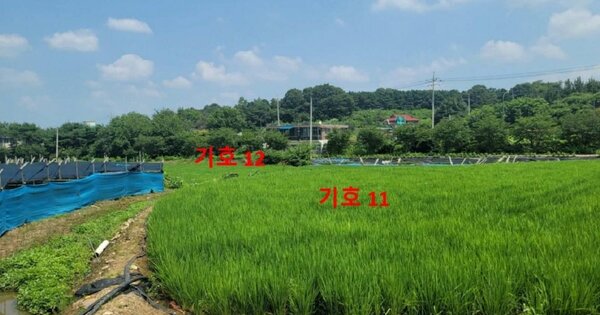 경기도 파주시 적성면 가월리 OOOOO O OOO 답 경매 물건 이미지