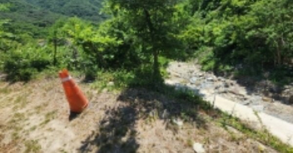 경상남도 양산시 원동면 대리 OOOO 임야 경매 물건 이미지