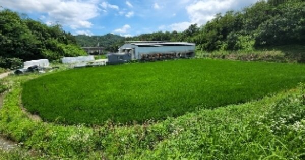 울산광역시 울주군 언양읍 태기리 OOO 답 경매 물건 이미지