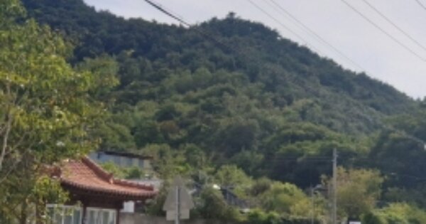전라남도 여수시 화양면 옥적리 OOOOOO 임야 경매 물건 이미지
