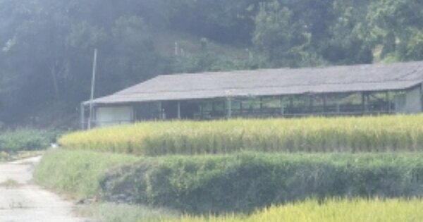 전라남도 여수시 화양면 옥적리 OOO 답 경매 물건 이미지