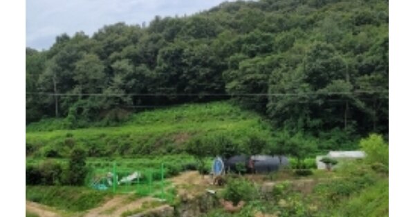 충청북도 청주시 청원구 오창읍 가좌리 OOOOOO 임야 경매 물건 이미지