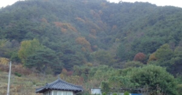 경상남도 산청군 산청읍 내리 OOOOOO 임야 경매 물건 이미지