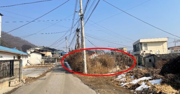 경기도 여주시 대신면 율촌리 OOOOO 대지 경매 물건 이미지