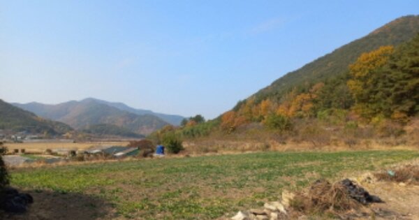 경상남도 사천시 사남면 종천리 OOO 전 경매 물건 이미지
