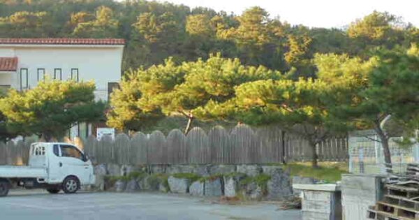 충청북도 청주시 서원구 남이면 팔봉리 OOO 공장 경매 물건 이미지
