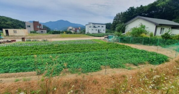경기도 용인시 처인구 양지면 정수리 OOOOO O OOO 답 경매 물건 이미지