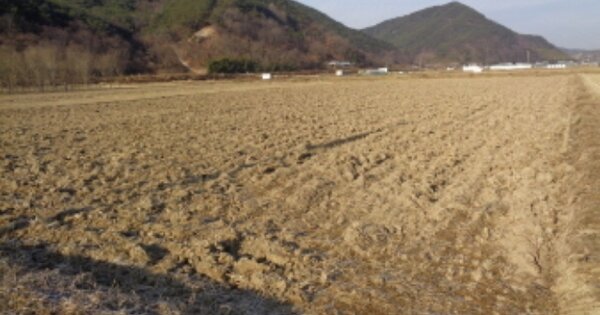 경상남도 진주시 대곡면 가정리 OOO 답 경매 물건 이미지