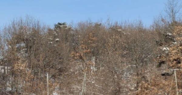 충청북도 청주시 청원구 오창읍 후기리 OOO 전 경매 물건 이미지