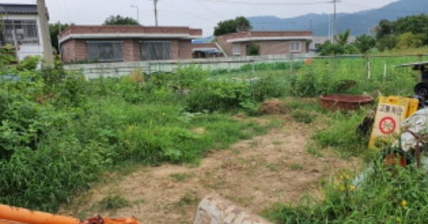전라남도 장흥군 장흥읍 건산리 OOOOO 답 경매 물건 이미지