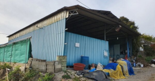 전라남도 장흥군 용산면 덕암리 OOOOO 답 경매 물건 이미지