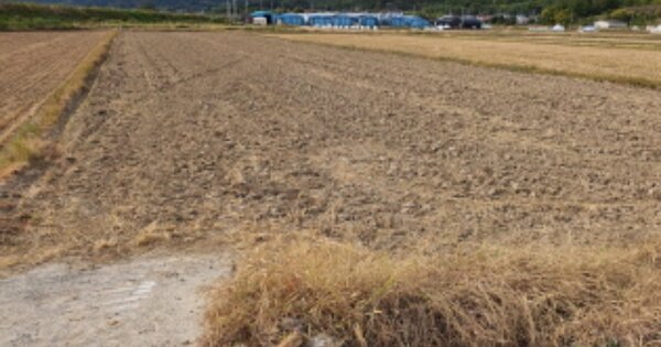 전라남도 장흥군 용산면 덕암리 OOOOOO 답 경매 물건 이미지