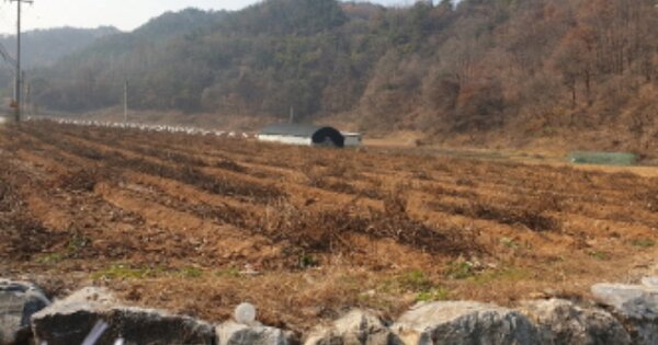 충청북도 단양군 매포읍 응실리 OOOOO O OOO 대지 경매 물건 이미지