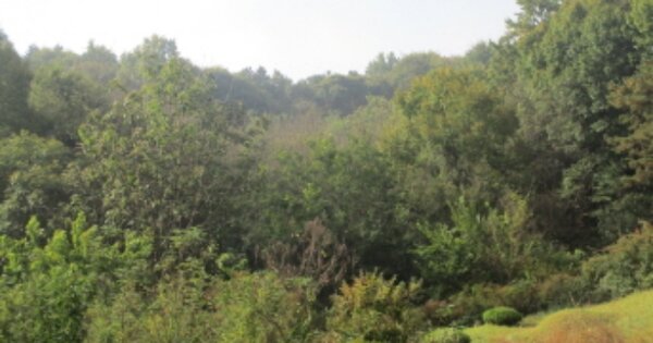 충청남도 금산군 남일면 초현리 OO 전 경매 물건 이미지