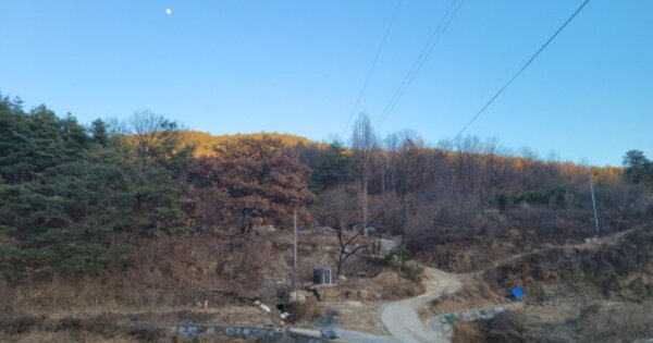 대구광역시 북구 동호동 OOOOO 임야 경매 물건 이미지